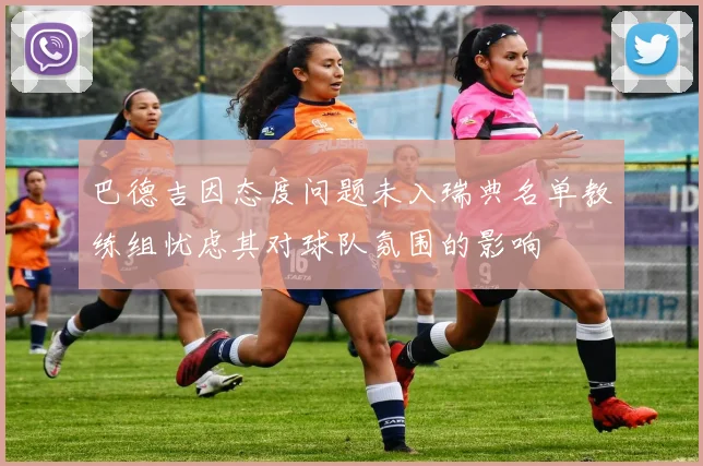巴德吉因态度问题未入瑞典名单教练组忧虑其对球队氛围的影响