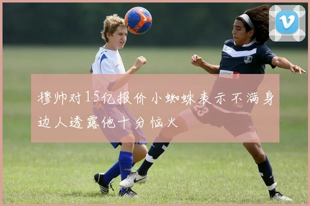 穆帅对15亿报价小蜘蛛表示不满身边人透露他十分恼火