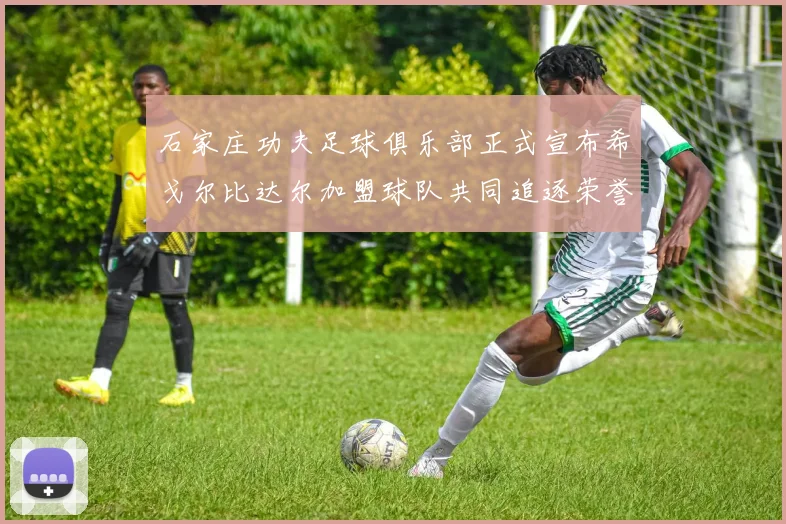 石家庄功夫足球俱乐部正式宣布希戈尔比达尔加盟球队共同追逐荣誉