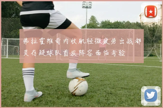 弗拉霍维奇内收肌轻微疲劳出战都灵存疑球队首发阵容面临考验